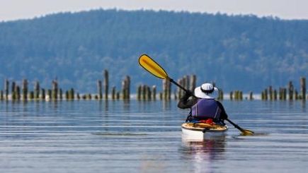 3 Hours of Seattle Urban Kayak Small Group Tour